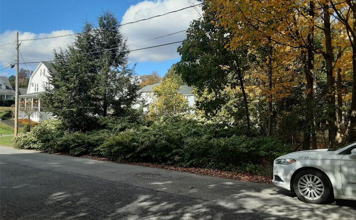 Pictures of Land, Multifamily property located at Woodland Avenue N, Liberty, NY 12754 for sales - image #1
