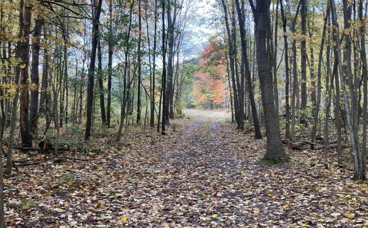 Pictures of Land, Special Purpose property located at 130th Avenue, Fennville, MI 49408 for sales - image #1