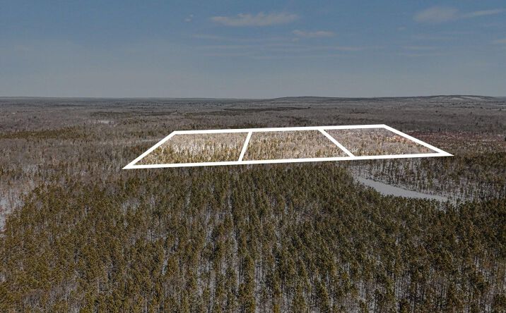 Pictures of Land property located at E Stark Road, Free Soil, MI 49411 for sales - image #1