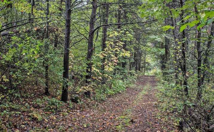 Pictures of Land property located at V/L Collier Ave Avenue, Battle Creek, MI 49017 for sales - image #1