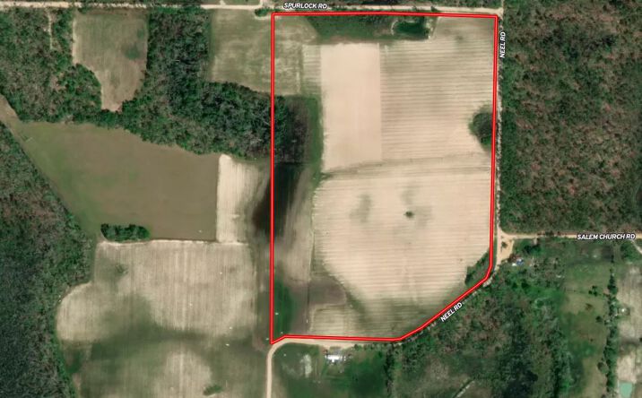 Pictures of Land property located at Neel Rd, Grand Ridge, FL 32442 for sales - image #1