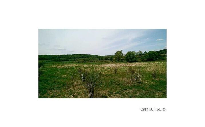 Pictures of Land property located at 0 Route 392, Cortland, NY 13045 for sales - image #1