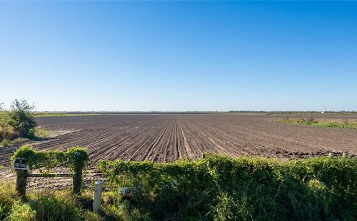 Pictures of Land property located at 4436 E Mile 13 1/2 Road N, Mercedes, TX 78570 for sales - image #1