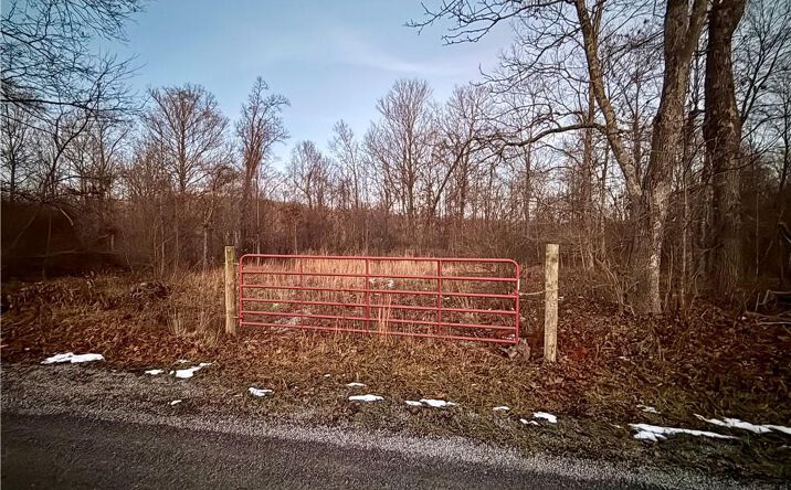Pictures of Land property located at Cox Rd, Waverly, OH 45690 for sales - image #1