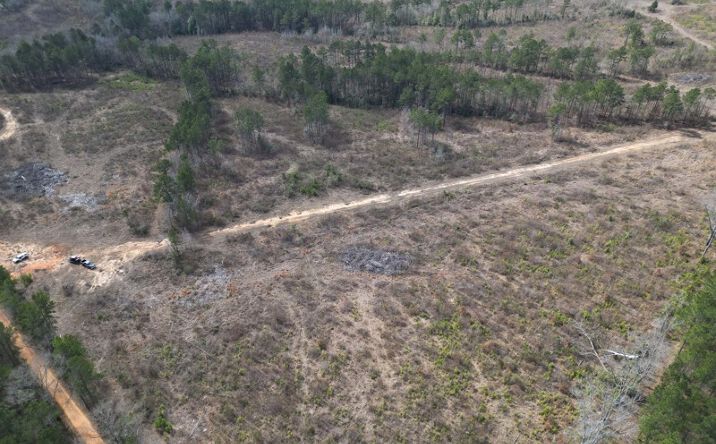 Pictures of Land property located at Tbd Cr 2229,, Atlanta, TX 75551 for sales - image #1