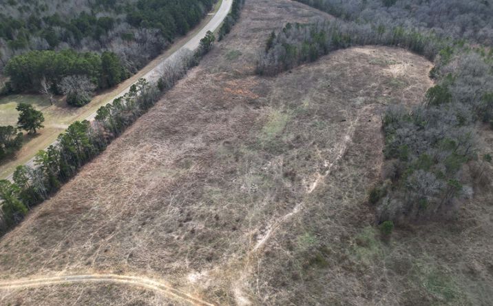 Pictures of Land property located at TBD TX HWY 8, Linden, TX 75563 for sales - image #1