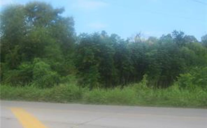 Pictures of Land property located at 55197 Old Gentilly Rd, New Orleans, LA 70129 for sales - image #1