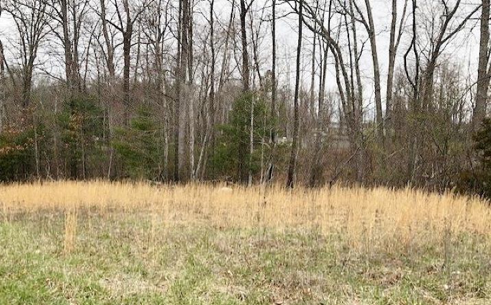 Pictures of Land, Multifamily property located at TBD Della Lane, Austinville, VA 24312 for sales - image #1