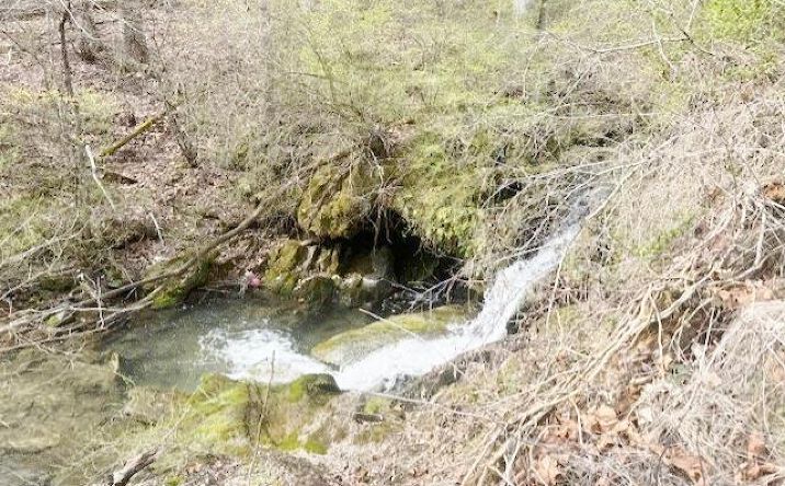 Pictures of Land, Multifamily property located at TBD Atkins Mill Rd., Wytheville, VA 24382 for sales - image #1