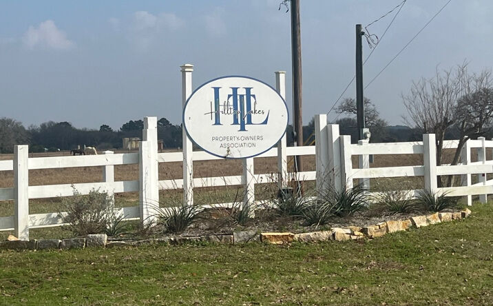 Pictures of Land property located at Lot 20 Navarro Dr., Hilltop Lakes, TX 77871 for sales - image #1