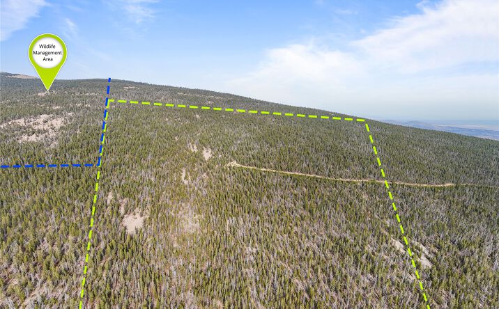 Pictures of Land property located at NHN Rosa Trail, Anaconda, MT 59711 for sales - image #1