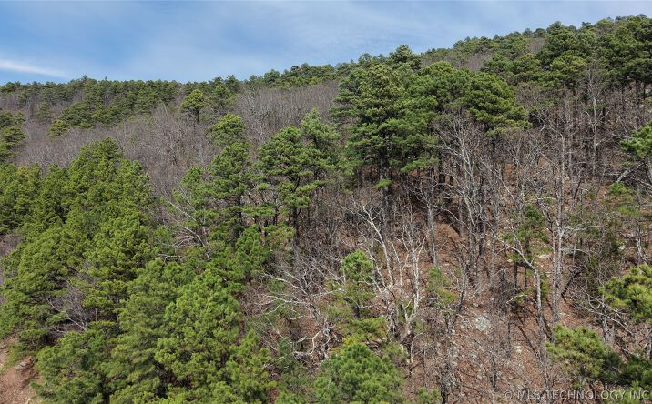 Pictures of Land property located at NE 1132 Avenue, Wilburton, OK 74578 for sales - image #1