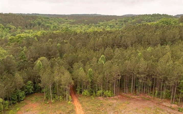 Pictures of Special Purpose property located at Hidden Creek Road, Jasper, GA 30143 for sales - image #1