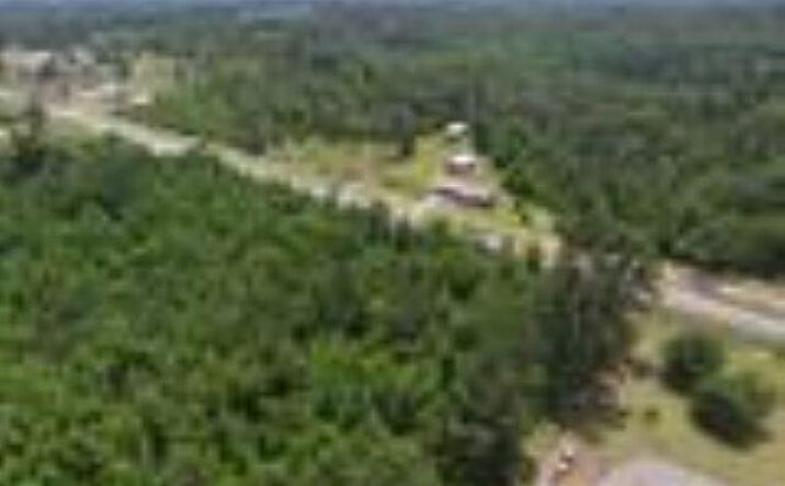 Pictures of Land property located at XXXXX NW County Road 12, Bristol, FL 32321 for sales - image #1