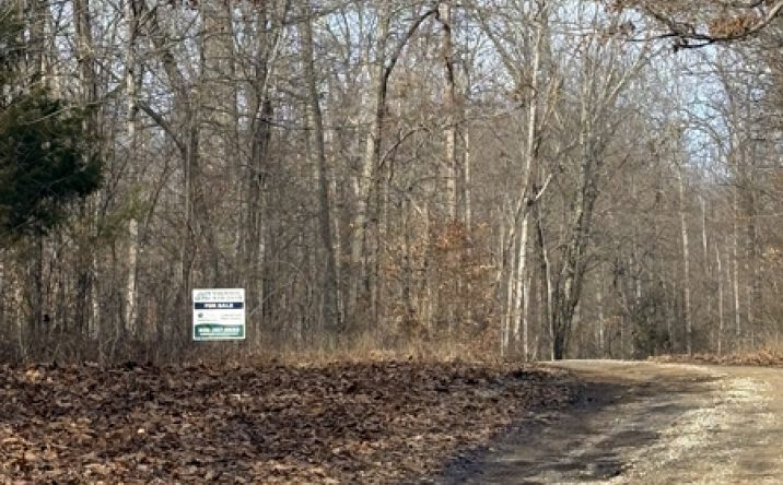 Pictures of Land property located at Subtle Garrett Creek Rd, Subtle, KY 42129 for sales - image #1