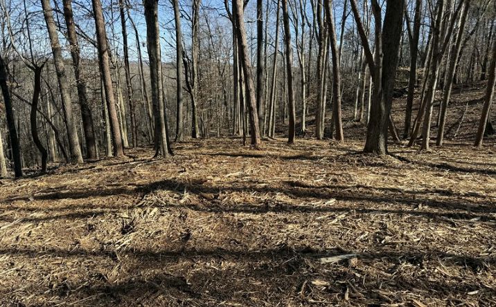 Pictures of Land property located at Lot #12 N Taxiway Dr, Albany, KY 42602 for sales - image #1