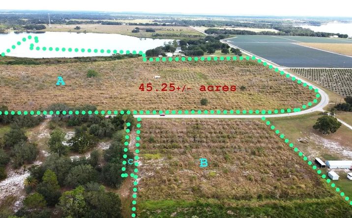 Pictures of Land property located at 7630 Lake Buffum Rd N, Fort Meade, FL 33841 for sales - image #1