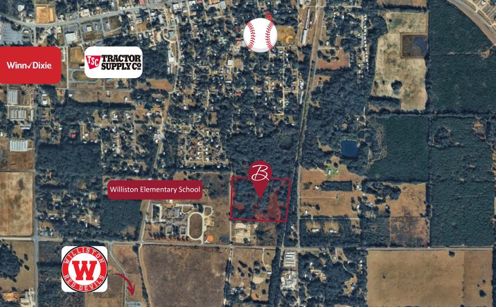 Pictures of Land property located at SE 4th St, Williston, FL 32696 for sales - image #1