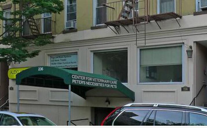 Pictures of Mixed Use property located at 236 E 75th St, New York, NY 10021 for sales - image #1