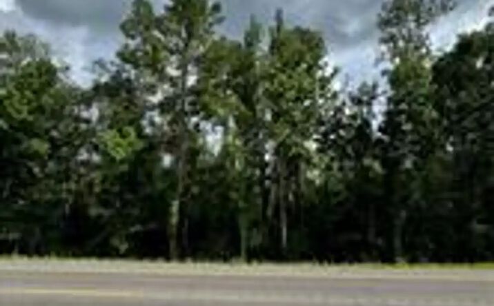 Pictures of Land property located at 7 Florida Boulevard, Holden, La 70744, Holden, LA 70744 for sales - image #1