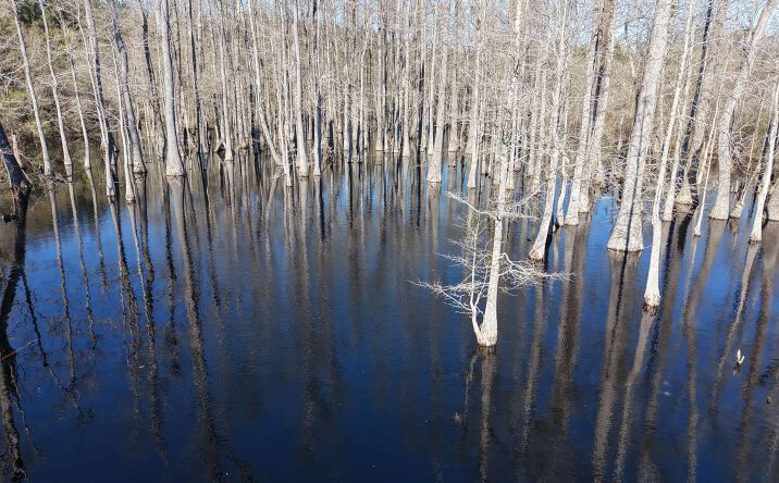 Pictures of Land property located at 0 Macedonia Road, Ellisville, MS 39437 for sales - image #1