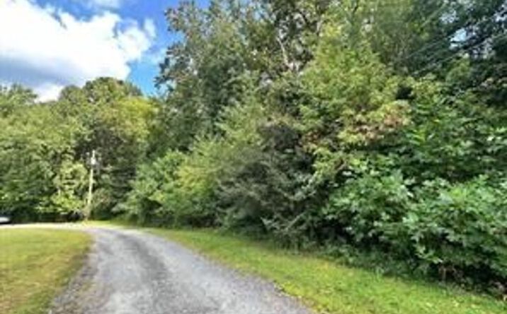 Pictures of Land property located at 1 Elizabeth St, Elkton, MD 21921 for sales - image #1