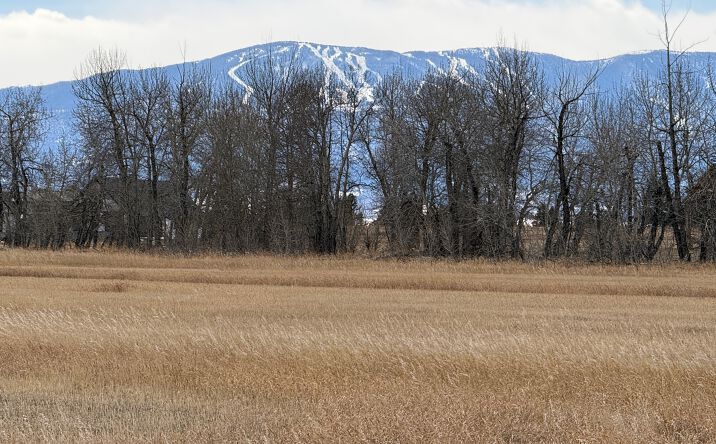 Pictures of Land property located at 00 Paintbrush Trail, Roberts, MT 59070 for sales - image #1