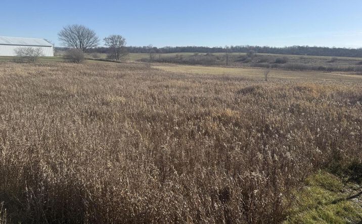 Pictures of Land property located at 18 Mile Rd, Big Rapids, MI 49307 for sales - image #1