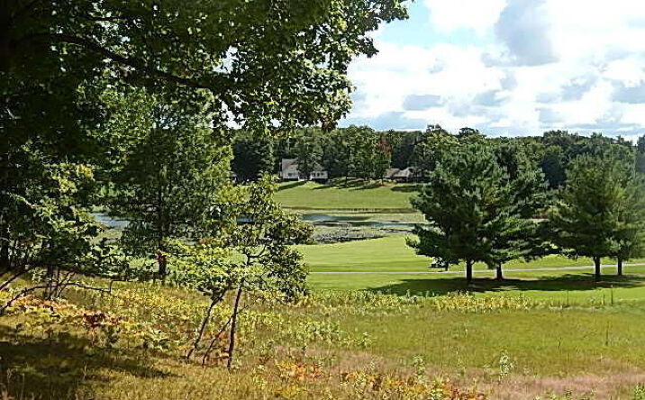Pictures of Land property located at 9378 Stonebridge Dr, Stanwood, MI 49346 for sales - image #1