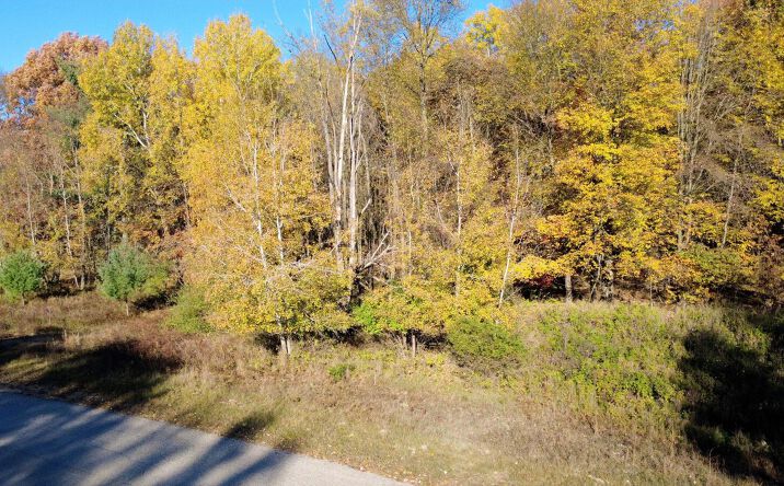 Pictures of Land property located at 6359 Kilkenny Dr, Stanwood, MI 49346 for sales - image #1