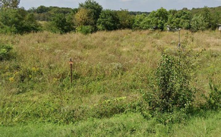 Pictures of Land property located at 10865 Business 21, Hillsboro, MO 63050 for sales - image #1
