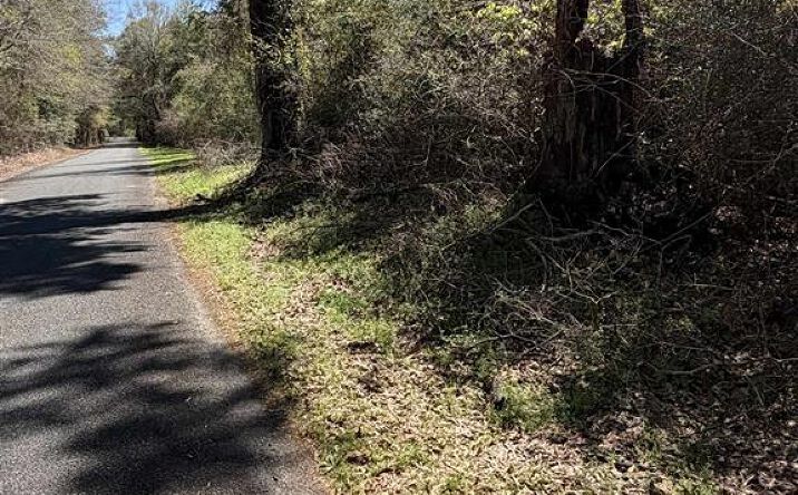 Pictures of Land property located at Simmons Road, DeRidder, LA 70634 for sales - image #1