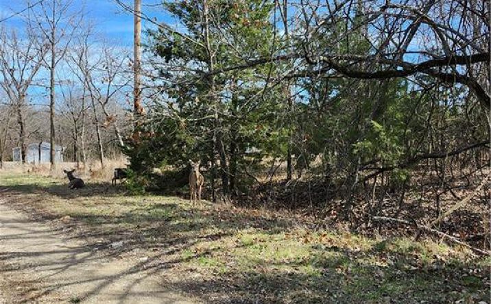 Pictures of Land, Special Purpose property located at 10 Scenic Valley Drive, Linn Valley, KS 66040 for sales - image #1