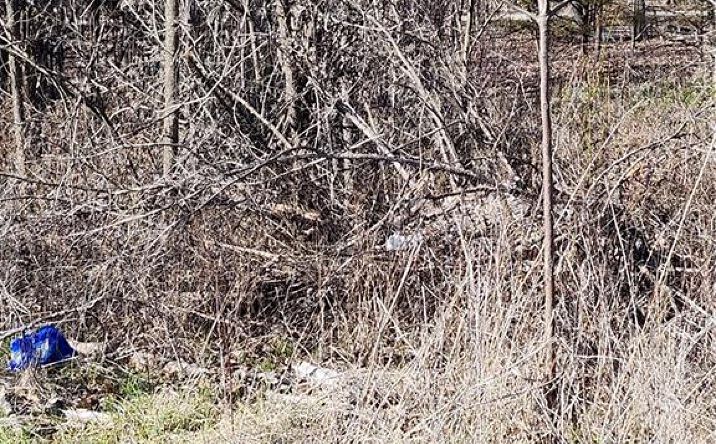 Pictures of Land, Special Purpose property located at 37 Oakdale Court, Linn Valley, KS 66040 for sales - image #1