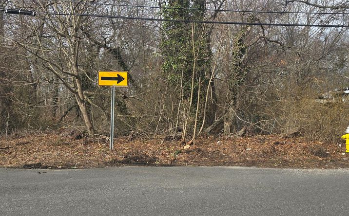 Pictures of Land property located at VL(36) Mastic Boulevard, Brookhaven, NY 11950 for sales - image #1