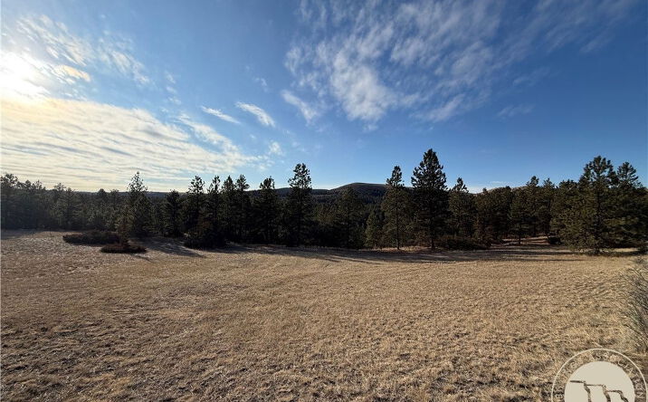 Pictures of Land property located at 42 Bozeman Trail, Columbus, MT 59019 for sales - image #1