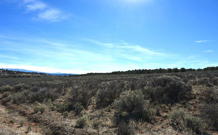 Pictures of Land property located at Pajarito Road, Tierra Amarilla, NM 87575 for sales - image #1