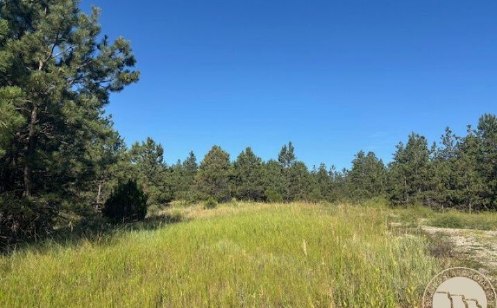 Pictures of Land property located at 51 Haystack Coulee Rd, Reed Point, MT 59069 for sales - image #1