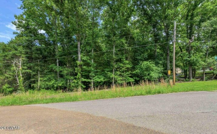 Pictures of Land property located at 1 Beech Loop, Somerville, TN 38068 for sales - image #1