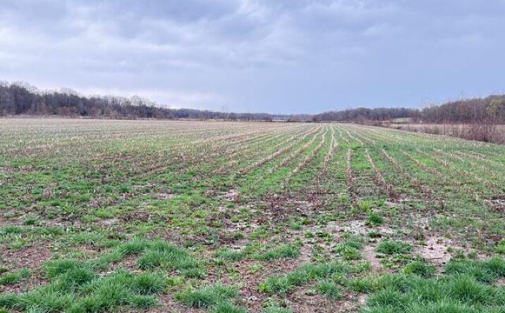 Pictures of Land property located at Strayleaf Road, Wildersville, TN 38388 for sales - image #1