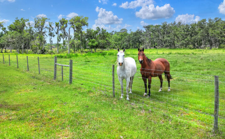 Pictures of Land property located at 0 S County Rd 39, Lithia, FL 33547 for sales - image #1