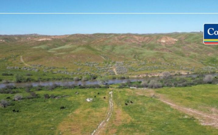 Pictures of Land property located at 13100 Oilfields Rd, Bakersfield, CA 93308 for sales - image #1