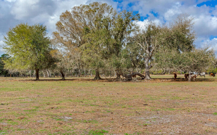 Pictures of Land property located at 2 S County Rd 39, Lithia, FL 33547 for sales - image #1