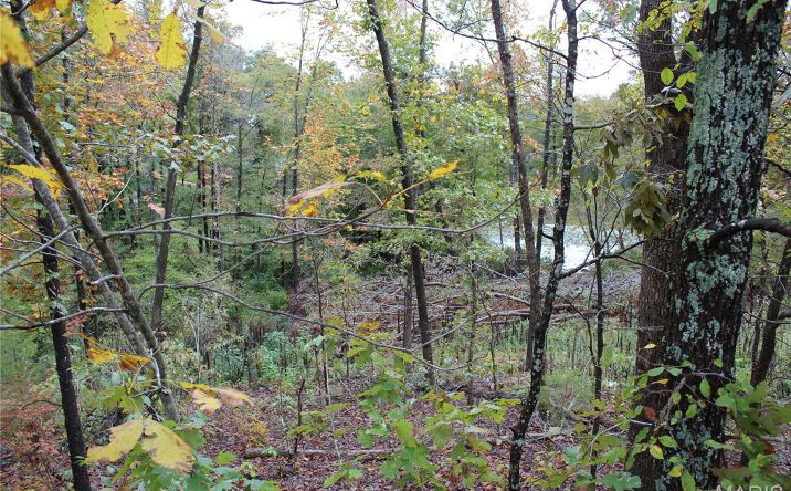 Pictures of Land property located at 0 Tomaro Trail lot 35 Poplar, Rombauer, MO 63901 for sales - image #1