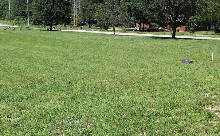 Pictures of Land property located at 319 Pintail Lane Poplar, Rombauer, MO 63901 for sales - image #1