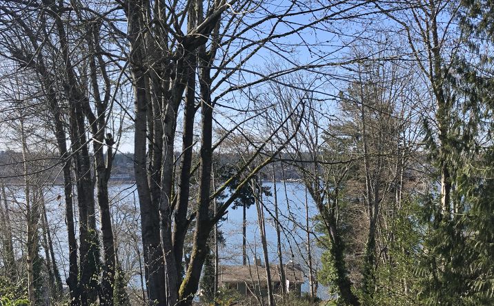 Pictures of Land property located at 1919 Berry St NE, Olympia, WA 98506 for sales - image #1