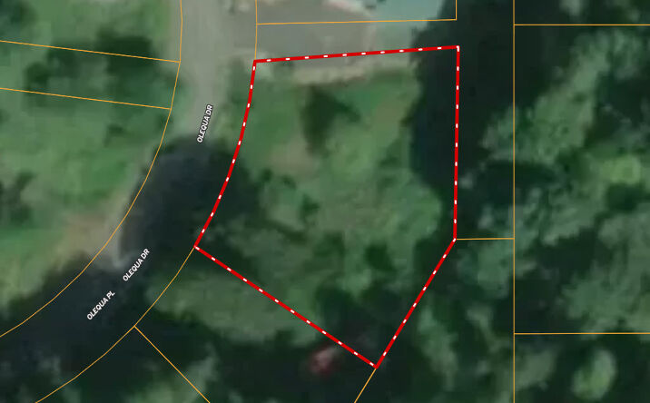 Pictures of Land property located at 177 Olequa Dr, Vader, WA 98593 for sales - image #1