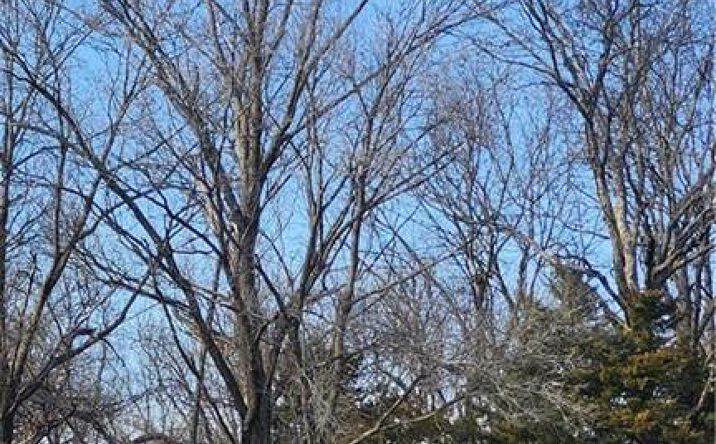 Pictures of Land, Special Purpose property located at 22 Rock Lane, Linn Valley, KS 66040 for sales - image #1