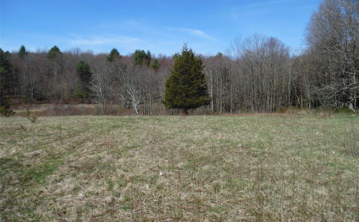 Pictures of Land property located at Creamery Road, Bethel, NY 12720 for sales - image #1