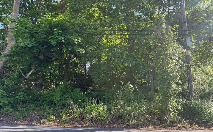 Pictures of Land property located at Central Islip Boulevard, Islip, NY 11779 for sales - image #1